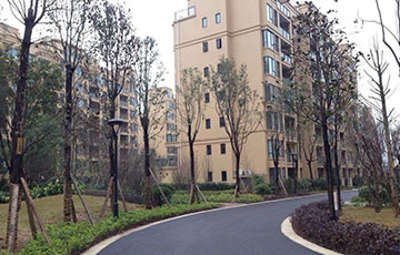 必发集团app下载装置(中国游)官网